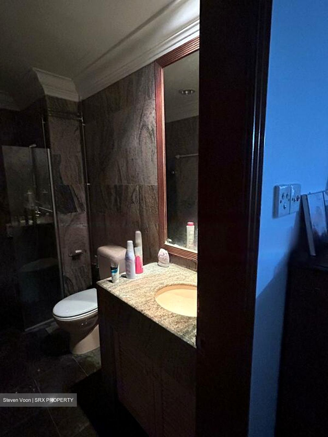 Le Hill Condominium (D5), Condominium #499806511